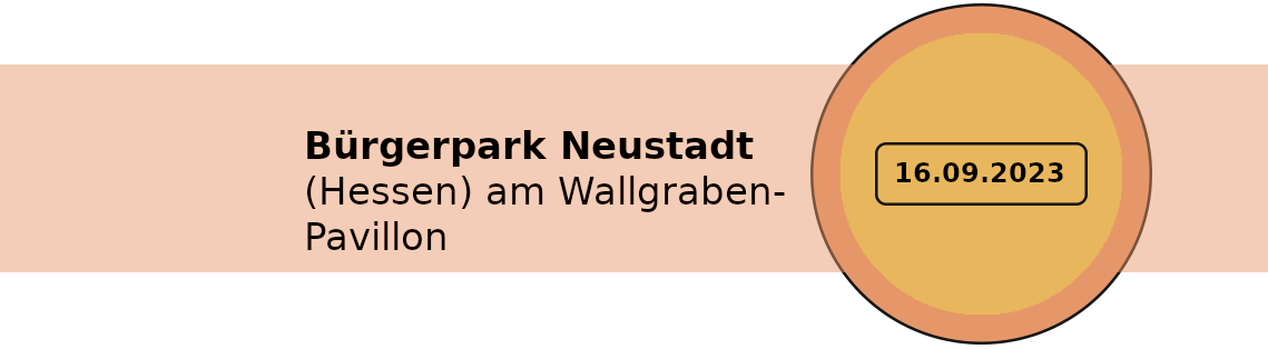 Turbosapienova Live 16.09.2023 Neustadt Hessen am Wallgraben-Pavillon